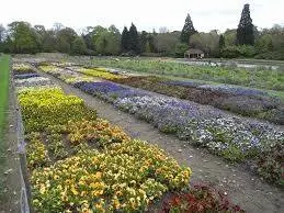 RHS Garden Wisley