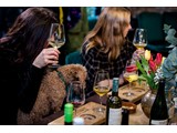 Dog Friendly at York Distillery