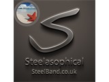 Listing image for Steelasophical Steel Band Duo