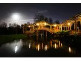 Japanese Bridge at Night