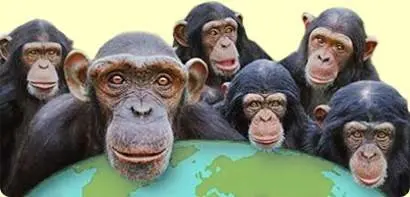 Monkey World