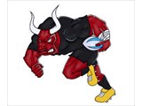 Bull, Rugby