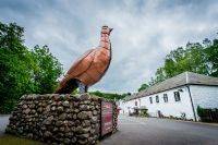 The Famous Grouse Experience