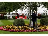 Parade Ring Marquee