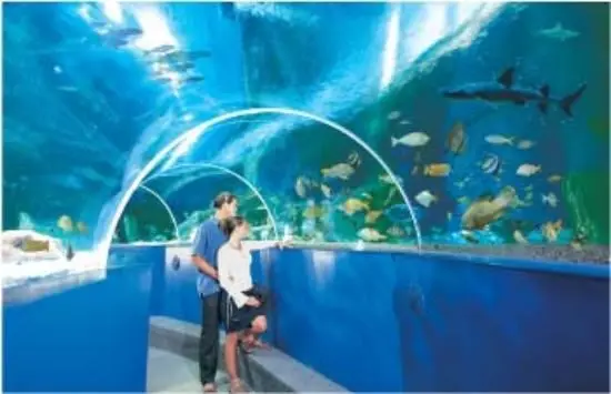 Blue Reef Aquarium