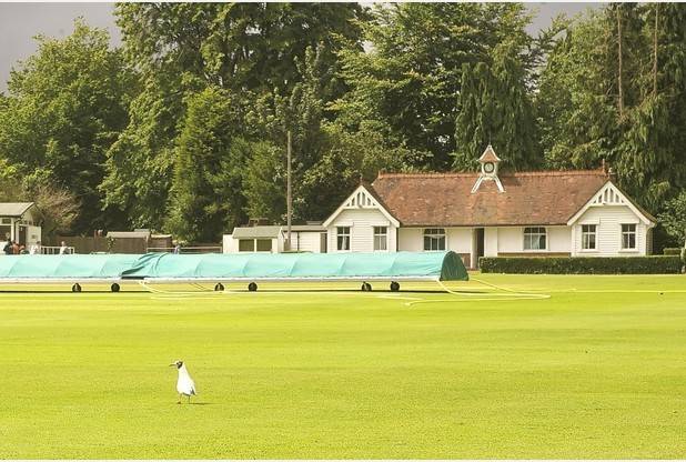 Banstead Cricket Club