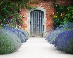 The Walled Garden at Cowdray - Marquee Venue