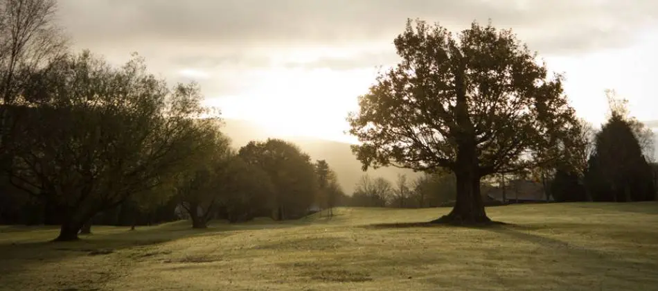 Mountain Ash Golf Club, Mountain Ash