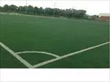 3G Astro Pitch