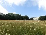 Main house view from a distance