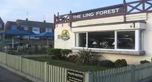 Ling Forest Inn
