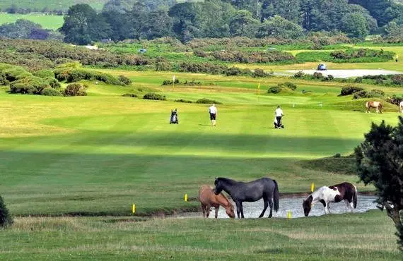 Tavistock Golf Club