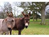 Larchfield Estate - Barn Venue