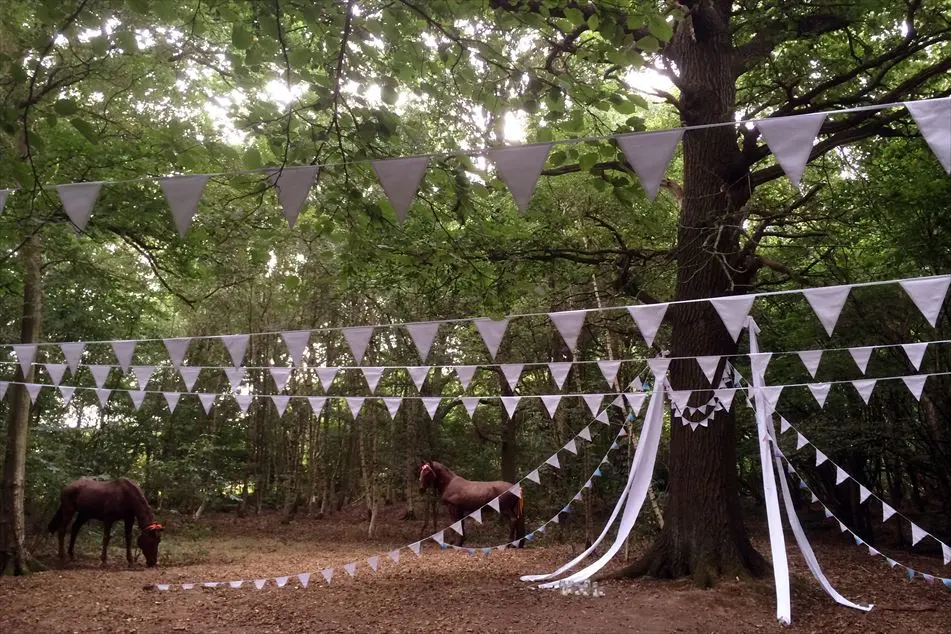 ceremony tree