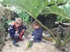 Highway Farm Activity Centre, Redruth