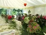 Marquee in the Garden