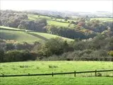 Corn Barn field