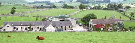 Lower Damgate Farm Cottages and Wedding Venue