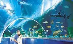 Blue Reef Aquarium Newquay Blue Reef Aquarium Newquay