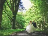 Holwell Temple Woodland setting