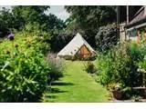 Bridal Tent and Walled garden