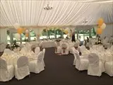 Marquee - Wedding 