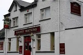 Harry Watkins, Llanelli