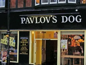 The Pavlov's Dog, Reading