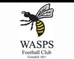 Wasps FC. Rugby in West London
