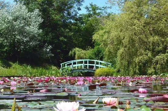 Bennetts Water Gardens