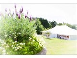 Lodge Farm House - Marquee Venue