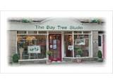 The Bay Tree Studio