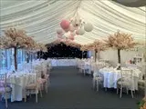 Marquee blossom wedding