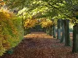 Autumn at Clonter