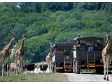 Truck Safari at Port Lympne