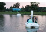 Swan Boats 1