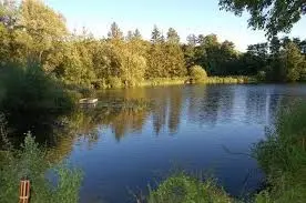 Barn Elms Fly Fishery