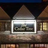 The Cedar Tree