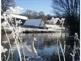 Lake View in Snow