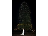 The Wakehurst Christmas Tree