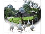 Sedlescombe Village Hall