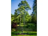 Ancient fountain in the Sunken Garden