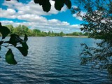 Wraysbury lake 