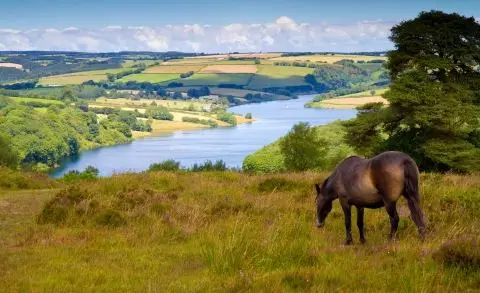 Wimbleball Lake Angling & Watersports Centre