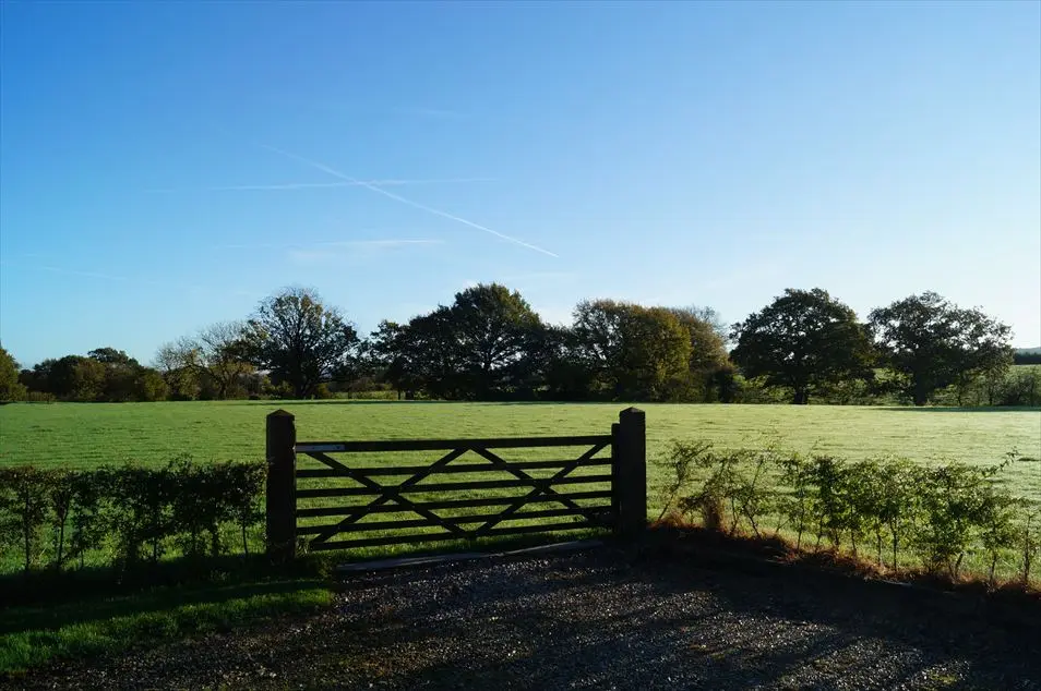 The Farm wedding field