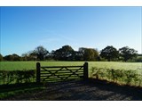 The Farm wedding field