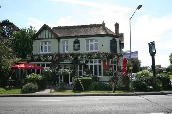 The Swan