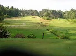 Swinley Forest Golf Club