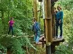 Go Ape Trent Park