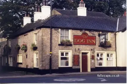 The Dog Inn